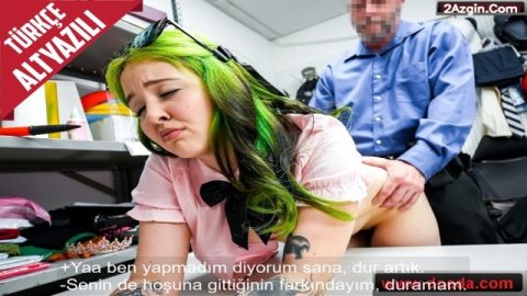 cover 378