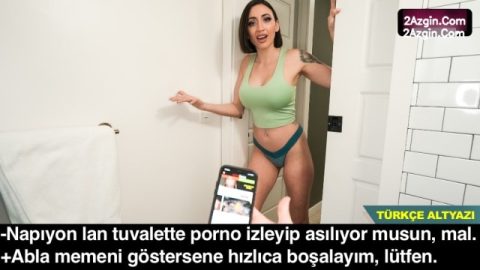 cover 388