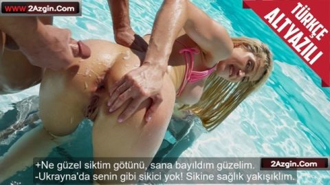 cover 406
