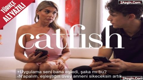 cover 480