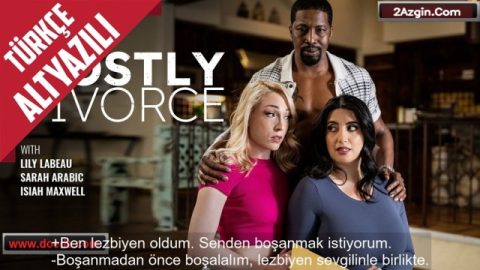 cover 505