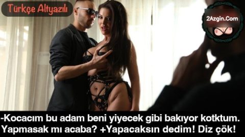 cover 597