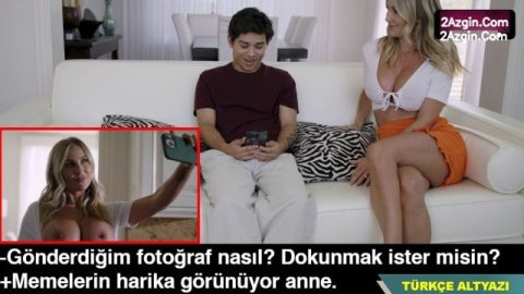 cover 659