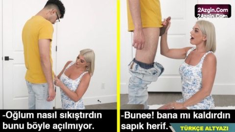cover 156