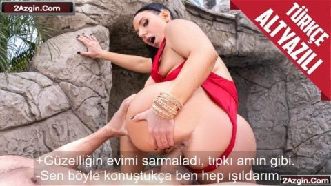cover 181