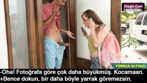 cover 195