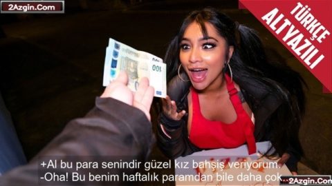 cover 234