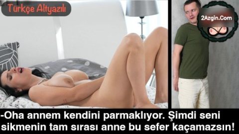 cover 249