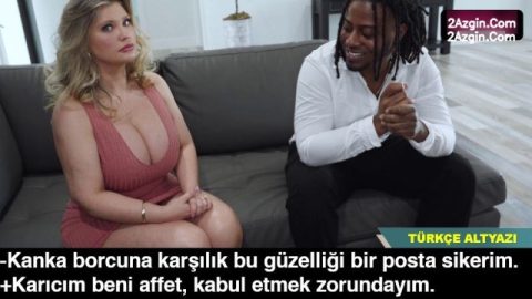 cover 73